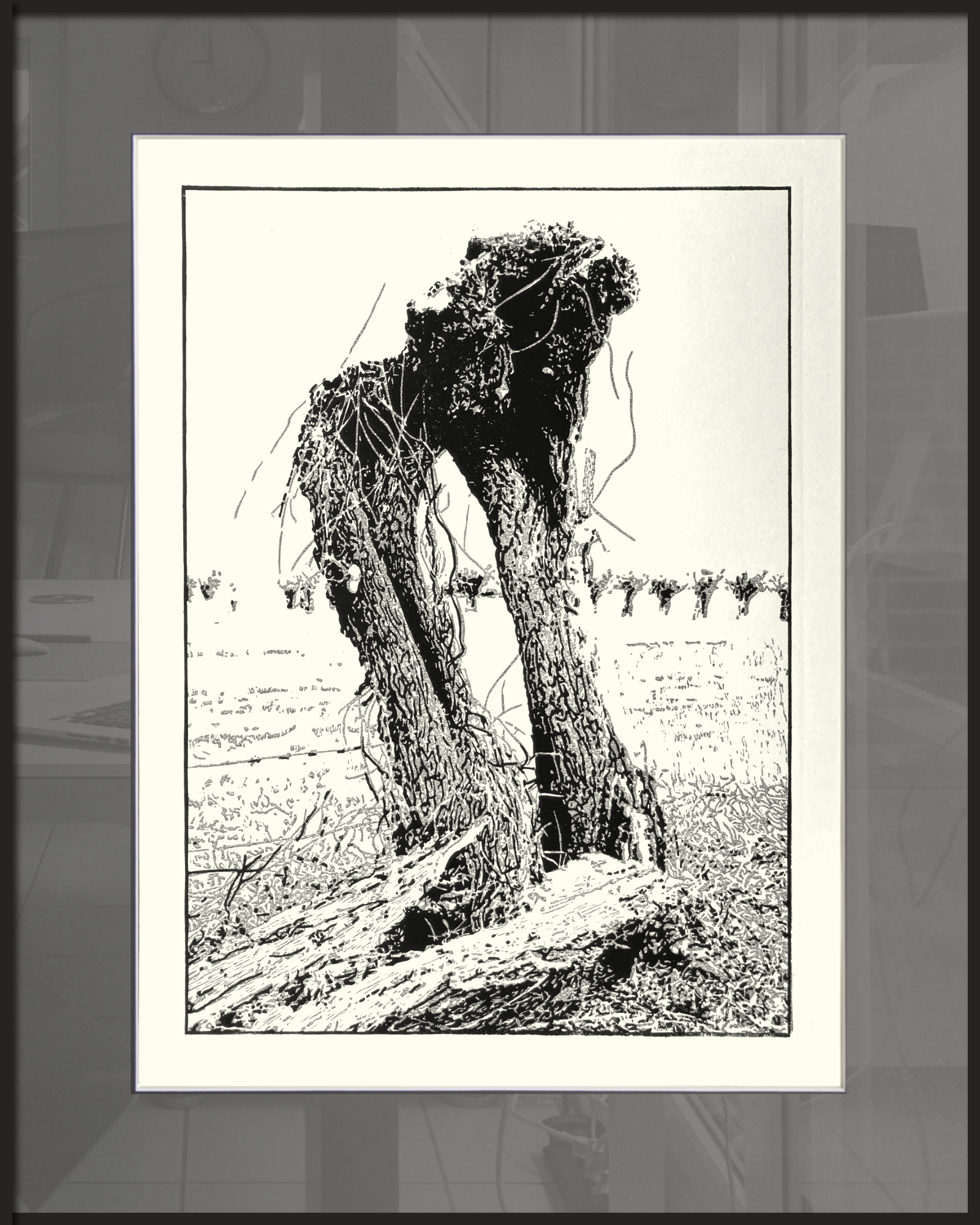 Ruine einer Kopfweide – Februar 2025