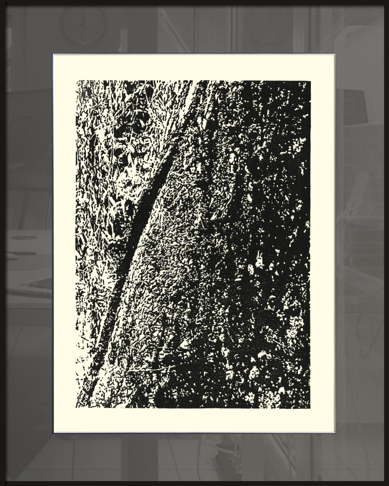 Trauerweide an der Hessel in Sassenberg, 2025