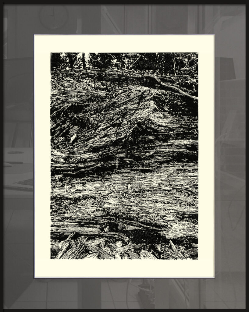 Vanitas_II-WarendorfBaumpfad